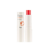 The Face Shop Fmgt Lip Care Stick