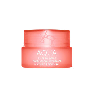 Nature Republic Super Aqua Max Moisture Watery Cream (Dry Skin)