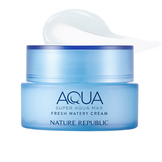 Nature Republic Super Aqua Max Fresh Watery Cream (Oily Skin)