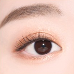 The Face Shop Fmgt Coloring Stick Shadow
