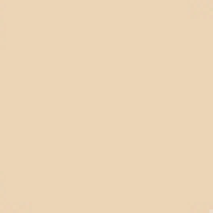 The Face Shop Fmgt Ink Lasting Foundation Slim Fit EX SPF30 PA++