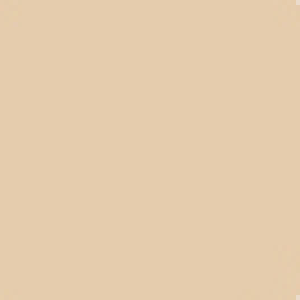 The Face Shop Fmgt Ink Lasting Foundation Slim Fit EX SPF30 PA++