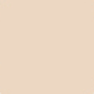 The Face Shop Fmgt Ink Lasting Foundation Slim Fit EX SPF30 PA++