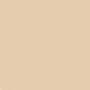 The Face Shop Fmgt Ink Lasting Foundation Slim Fit EX SPF30 PA++