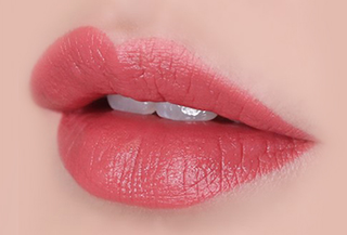 The Face Shop Fmgt Rouge Satin Moisture