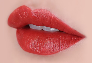 The Face Shop Fmgt Rouge Satin Moisture