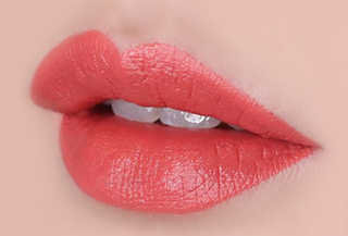 The Face Shop Fmgt Rouge Satin Moisture