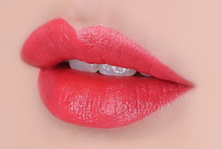 The Face Shop Fmgt Rouge Satin Moisture