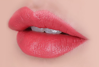 The Face Shop Fmgt Rouge Satin Moisture