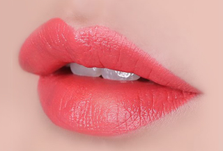 The Face Shop Fmgt Rouge Satin Moisture