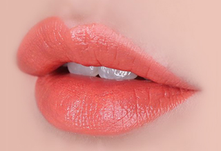 The Face Shop Fmgt Rouge Satin Moisture