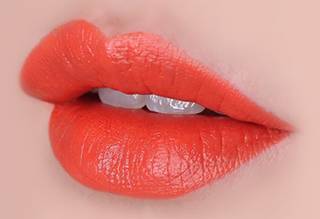 The Face Shop Fmgt Rouge Satin Moisture