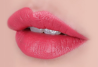 The Face Shop Fmgt Rouge Satin Moisture