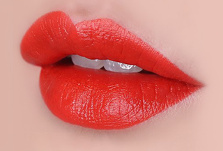 The Face Shop Fmgt Rouge Satin Moisture