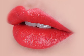 The Face Shop Fmgt Rouge Satin Moisture