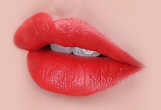 The Face Shop Fmgt Rouge Satin Moisture