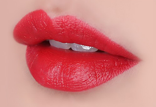 The Face Shop Fmgt Rouge Satin Moisture