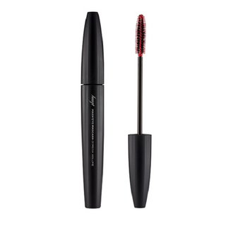 The Face Shop fmgt Max Eye Mascara